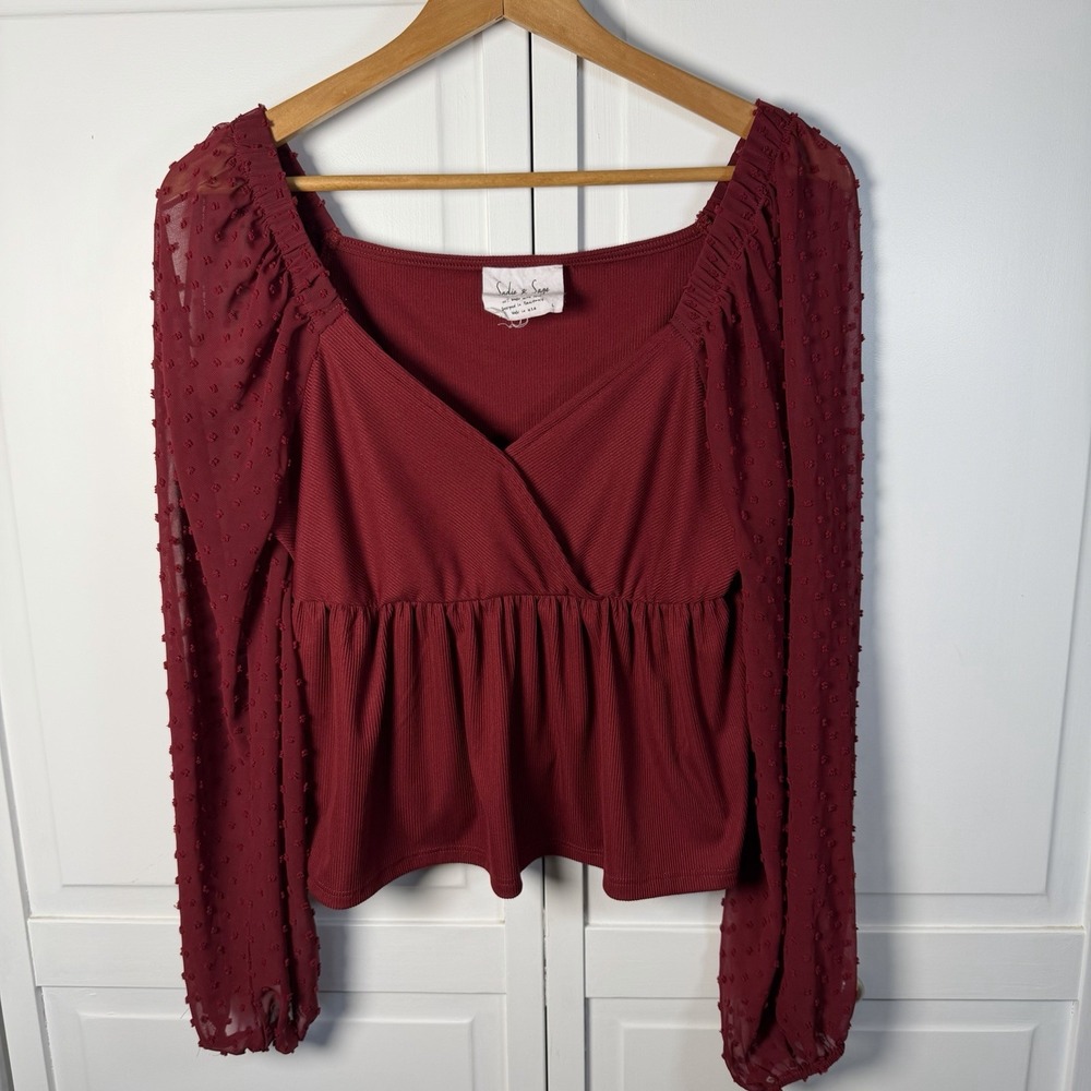 Anthropologie Sadie & Sage Women's V Neck Peplum Blouse Sheer Long Sleeves Large